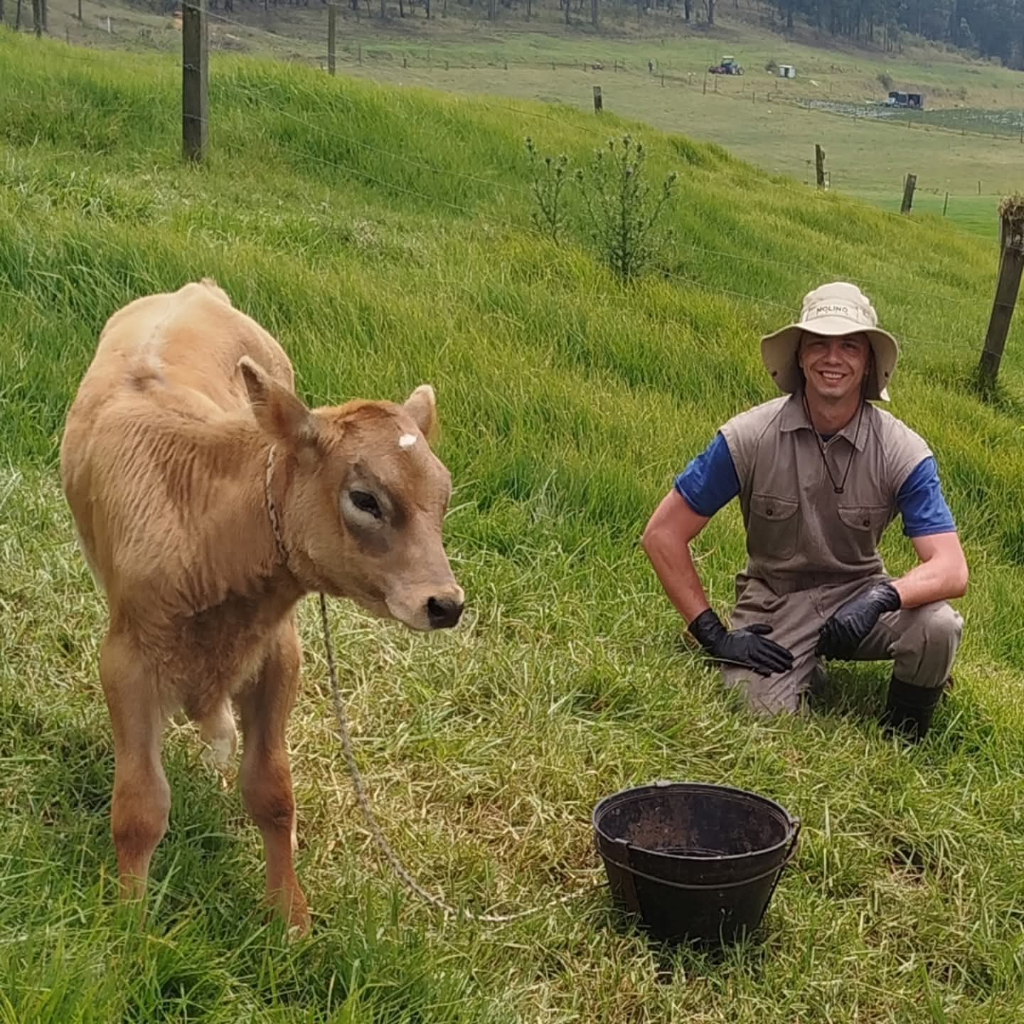 Docente de la UNCAUS se perfecciona en Colombia en producción lechera tropical